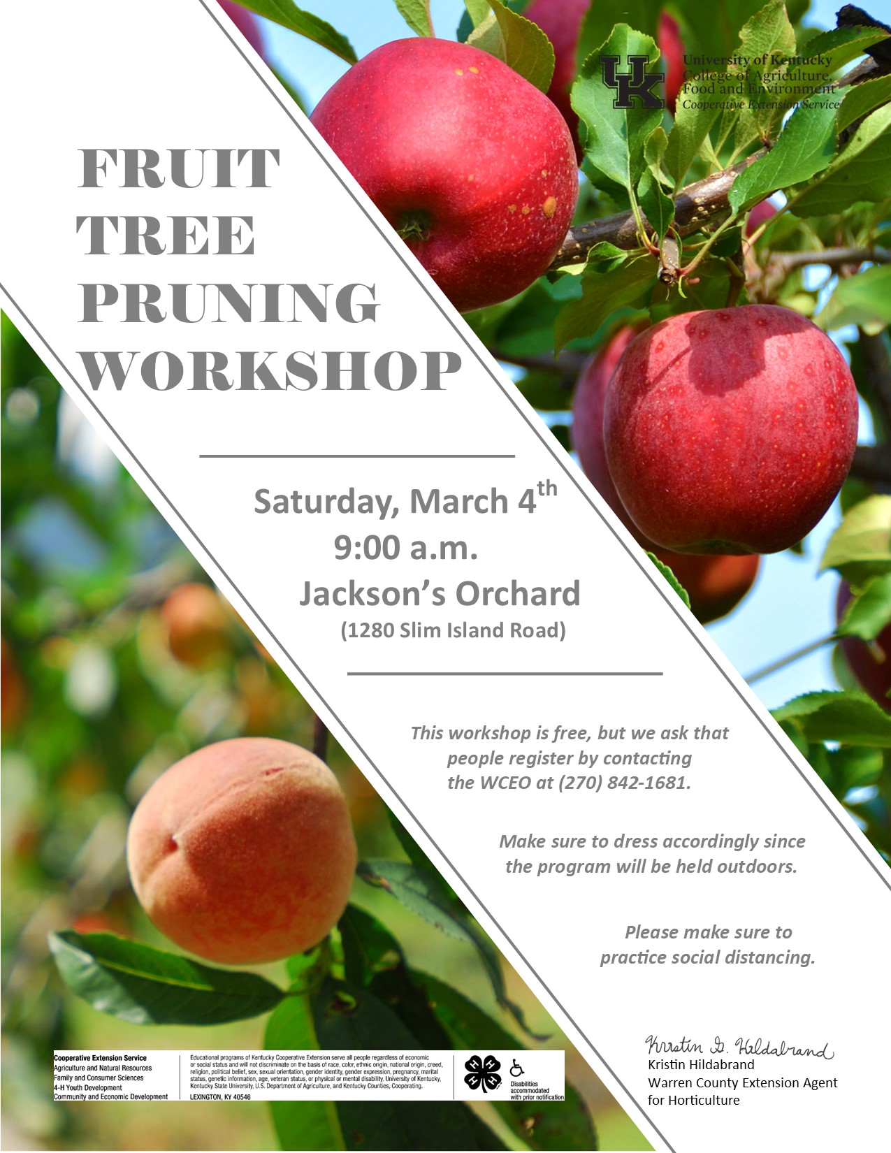 Fruit Tree Pruning Warren County Extension Office